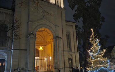Instandsetzung Lichtstrahler Portal